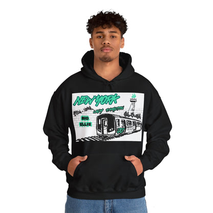 Subway Hoodie This hoodie is for the New York women's basketball (WBB) fans. With a subway train with track. The words New York in seafaom green Grafitti. Featuring different player nicknames on the brick wall in different styles of Graffiti (Stew-York, S